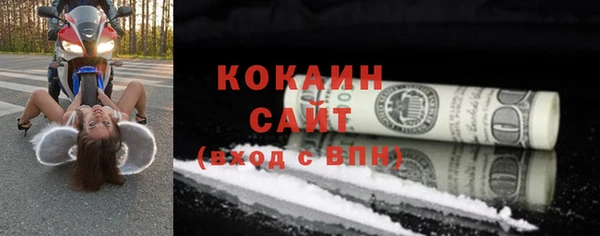 прущие грибы Волосово