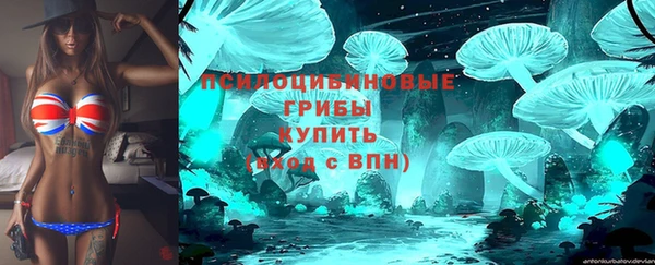 ешки Волоколамск