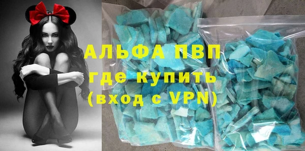 прущие грибы Волосово