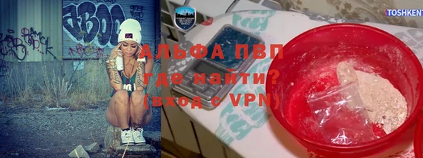 прущие грибы Волосово